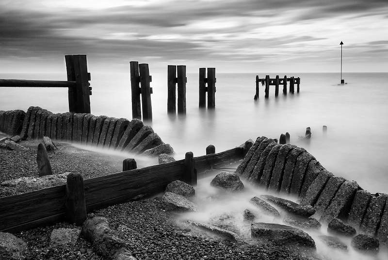 Rugged_Jamie Bird.jpg